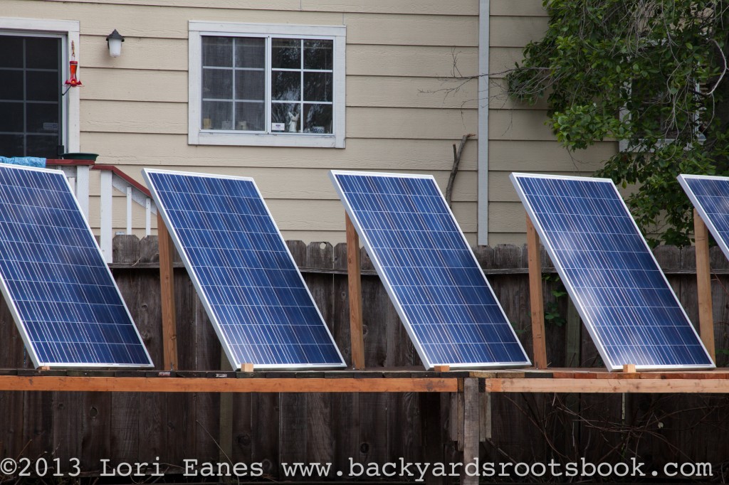 Full Harvest Farm in Oakland | Backyard Roots